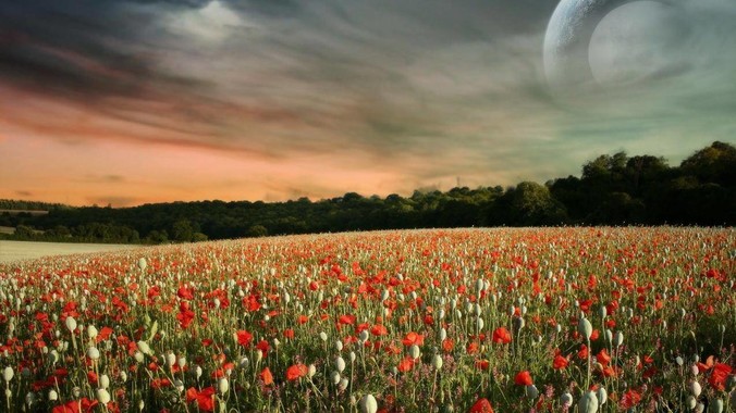 通过重体力劳动练出来的肌肉和标准健美人员肌肉有什么不同？